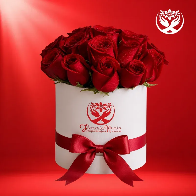 Box Destino Rojo